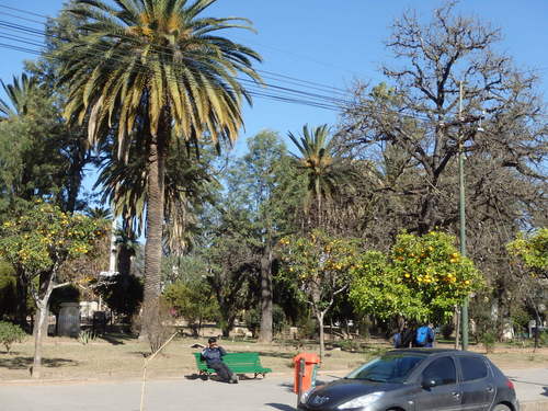 Our view of the Plaza across the street, we will visit.